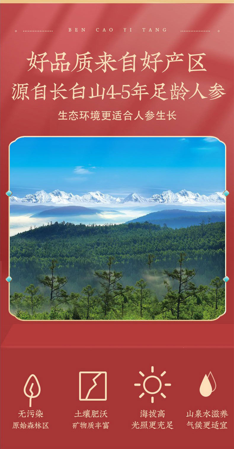 Ready to Eat Honey Ginseng Slices 65g Jar Portable Fresh Ginseng Slices for Tea specifications