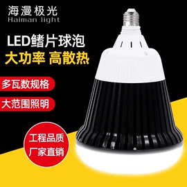 LED球泡灯;LED应急灯;太阳能灯