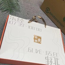 ü�h����J�������r�����������2024������殐���ЋD�����J����