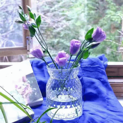 Creative Minimalist Luxury Glass Vase Hydroponic Flower Pot Home Office Decor Ornament Fresh Flowers Dry Flowers Water Plant Pot