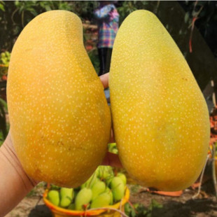 ���â�������r�����Ꭷˮ��ˮ��â�SƤ��â���Fժһ�����l