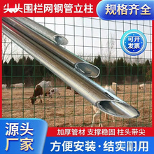 �Ӻ���^���������U�F�z�W������\䓹܈A�ܷ���֧�ΗU���ټ�֧��