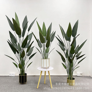 GֲԷ˽˽BҾkbپGֲ