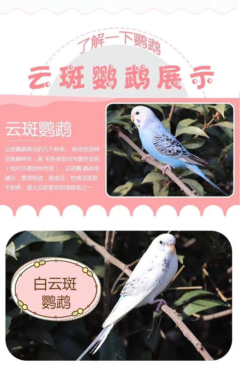 5180d3ed-357b-4337-a75e-eb38fc7f84b5.jpe