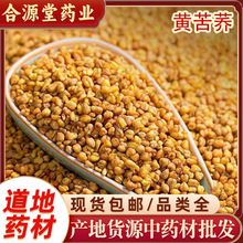 黄苦荞中药材批发 泡水苦荞茶 黑苦荞  苦荞麦 金荞麦代打粉500g