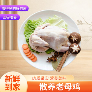 ɢ�B��ĸ�u�r��ɢ�B���u�F����ֻ��������Ҝ�ʳ�ĬF؛���󃞻�