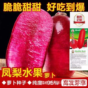 �P��t��ˮ���}���Ѹ߮a���ԝM�üt�����������ļ��ļ��߲˷N��