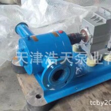 污水凸轮转子泵TDXTB 废水清水 粪便 石灰水 灰浆 消防泡沫转子泵