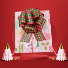 2026���˹��Y���b����� �������pom pom�� pp�ʎ�ӡˢ������