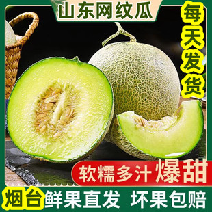 Haiyang net pattern melon meilou Свежие фрукты свежие фрукты, бесплатная доставка Hainan Cantaloupe Linglong Mok Milk Fragrance 5