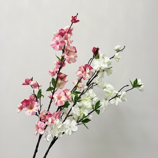 �����һ��D÷���羳�ѻ����⹤�̻����쾰��Y�þƵ��b廨�[��