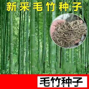 ����ë��N�� ������ ���� �ļ����� ����ʳ����S ������ �S��
