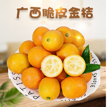 广西脆皮金桔 代发1/5斤新鲜应当季水果小蜜桔整箱金柑纯甜小金桔