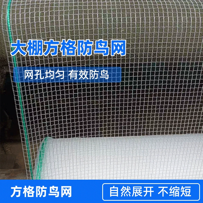 Сетка от птиц с веревками с обеих сторон, специальная сетка для экспорта теплиц, сетка для защиты сельскохозяйственных угодий, сетка от птиц для огорода, винограда, вишни и риса.