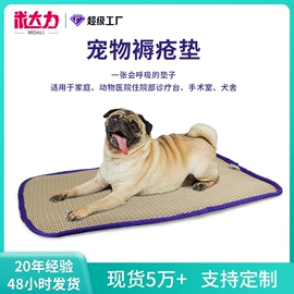 伊丽莎白圈;宠物项圈;狗狗清洁
