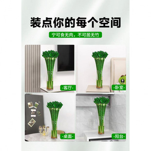 ���񎧸��ˮ�B�҃ȿ͏d�^�����Ĳ��񎧸������ش�̖���F�������