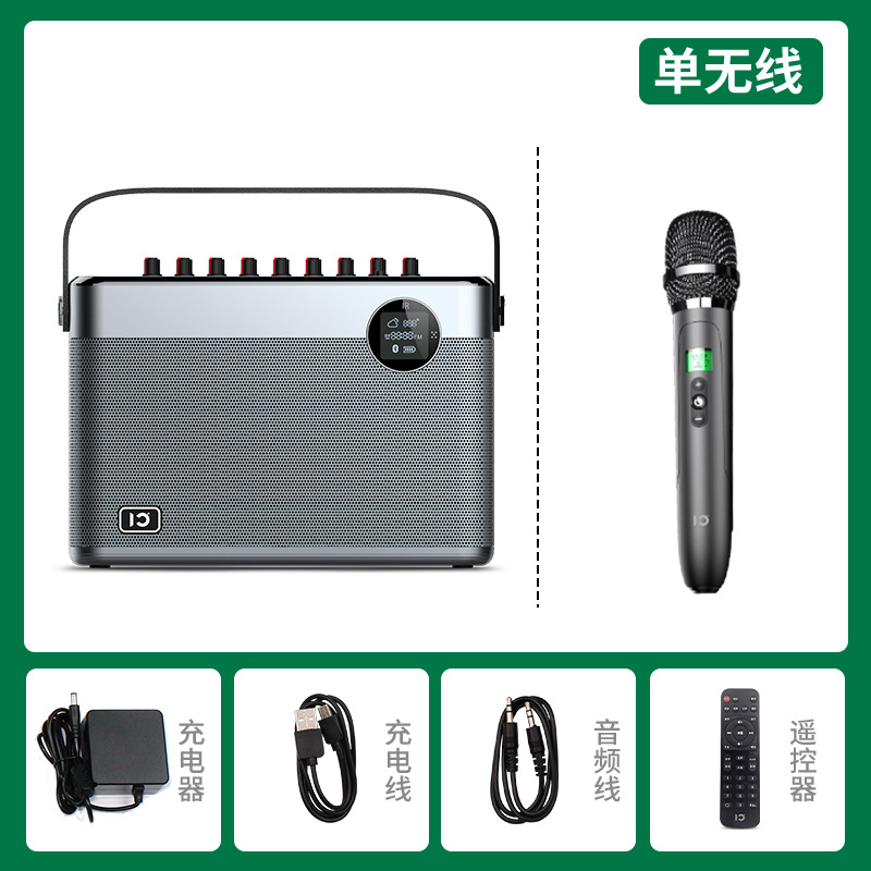싱글 마이크