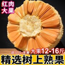 红肉菠萝蜜红心新鲜水果一整个木菠萝大果熟果10-12-16斤包邮