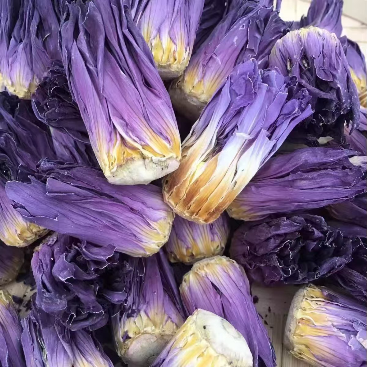 Nine-Grade Fragrant Water Lily Flower Tea (Nymphaea) — Yellow & Purple Herbal Infusion overview