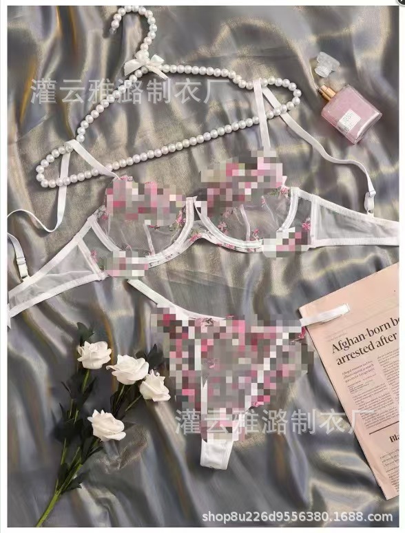 Aiyang amazon delgada ropa interior europea y americana fábrica de bordado de comercio exterior venta directa de tamaño de encaje impresión labial