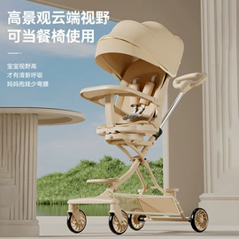 婴儿推车;单杆轻便推车;儿童电动车