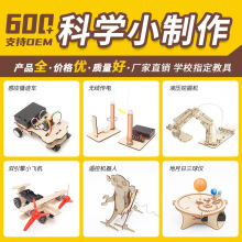 ƌWsteamWͯǰlƼСnDIYֹ ƽ