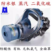 BLUEEAGLE蓝鹰TR2002防毒全面罩防二氧化硫氨水银一氧化碳全面具