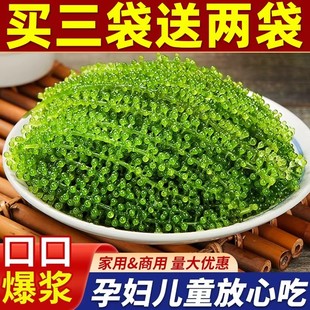 ��ͯ�����ѷǼ�ʳֲ��Gɫ�~���u�}�n���������rˮ�����ͽ�ĩ�u��