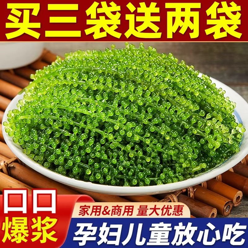 Children's Sea Grapes, Non-Ready-To-Eat Plant-Based Green Caviar, Salted Sea Grapes, Fresh Water Grapes, Served with Wasabi Sauce