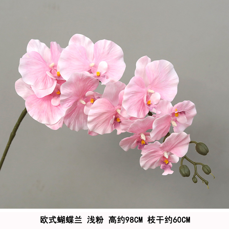 Silk cloth European Phalaenopsis-light powder
