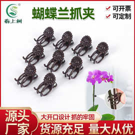 植物爬滕抓夹架蝴蝶兰支架支撑杆架子园艺花卉花枝夹子蔓藤卡绿植