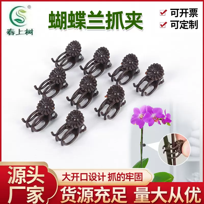 植物爬滕抓夹架蝴蝶兰支架支撑杆架子园艺花卉花枝夹子蔓藤卡绿植