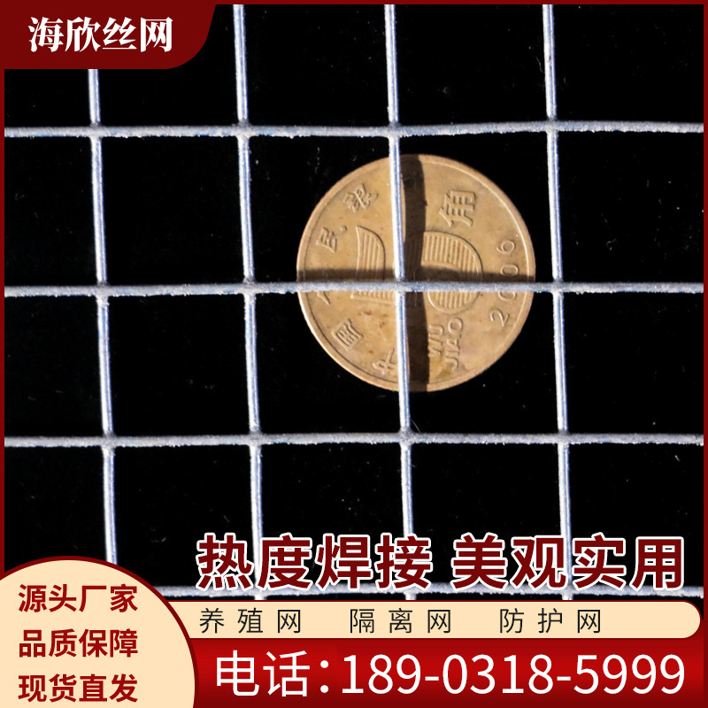 浸塑电焊网热镀锌铁丝网鸡圈地护栏铁丝电焊网卷热镀锌电焊网片