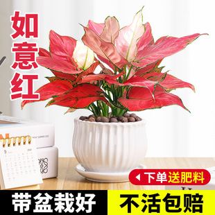 ���⼪���t�����҃ȾGֲ�����������Ի����辰���~ˮ����