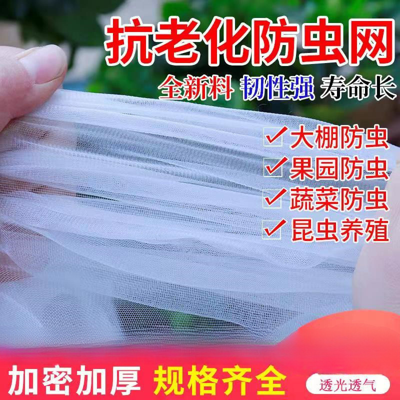 果树加密农用网养殖网尼龙网蔬菜防鸟网网防虫网果园蝗虫加厚大棚