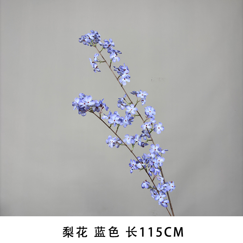 배꽃 블루