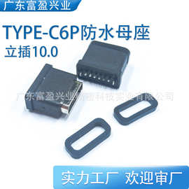 TYPE-C6P母座七级防水立插两脚10.0H全塑单充电USB连接器母头过3A