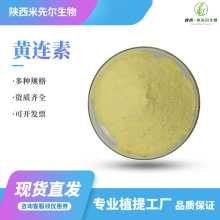 黄连素98%盐酸小檗碱 米先尔供应现货包邮可分装量大优惠