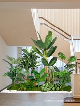 �Gֲ�M���쾰�������̈��Ꭷ��ֲ�ﾰ�^�٘��҃������b[��