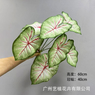 ����ֲ�ﺣ���~�����^�~���캣���~3�^�����挍�ָ��m���쾰����