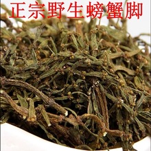 云南景迈山螃蟹脚新茶大量批发毛尖茶散茶 工厂批发