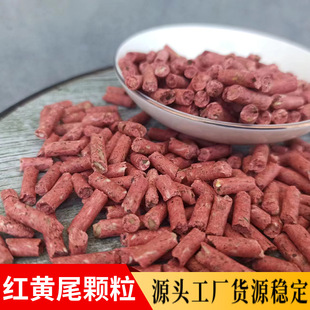 �t�Sβ�w���������Ұ឴�C�����Sβ������β�N�A�N���~�T��D