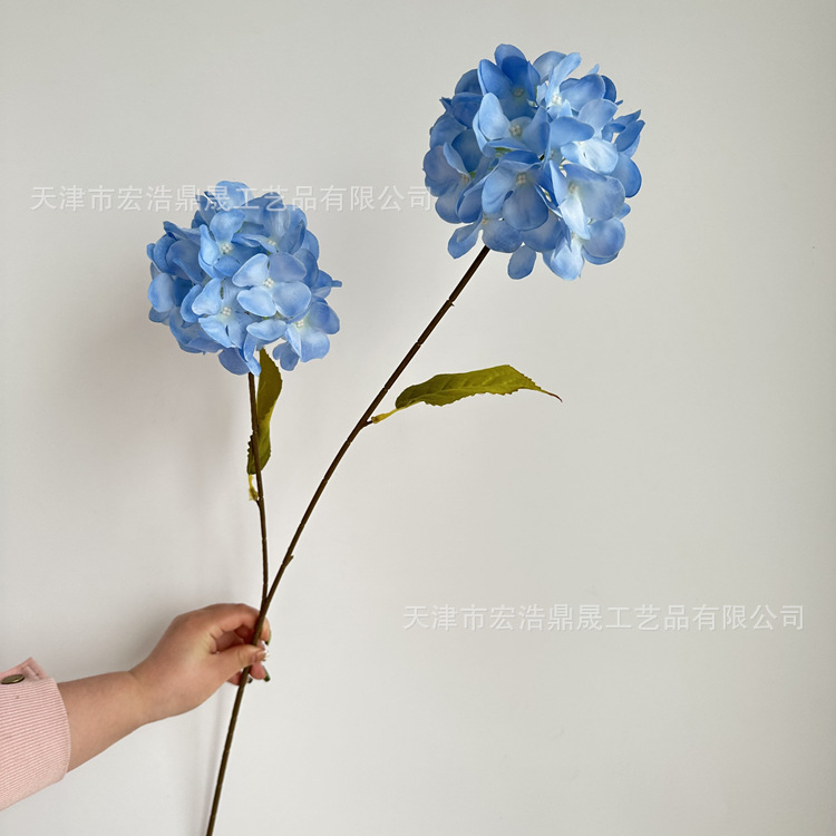 라이트 블루 (나뭇잎 없음)