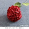 Single Sterucium-Red