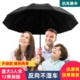 超大防晒三折两用广告伞