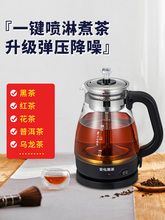 GZ6M安化黑茶煮茶器蒸汽蒸茶壶家用电热烧水壶小型办公室喷淋式蒸