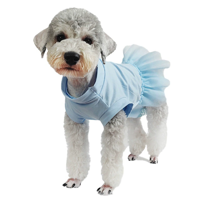 Bixu Mother Dog Защитные штаны для домашних животных гигиенические штаны физические штаны жилет юбка менструальный период брюки для тетушки одежда для защиты от домогательств