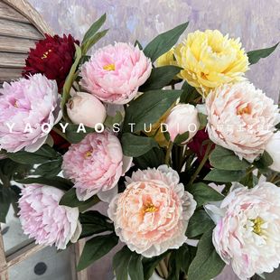 ��Ʒ�|3�^����ĵ����ș����ĵ���͏d�����ٻ�����ܛ�b��ˇ�b�