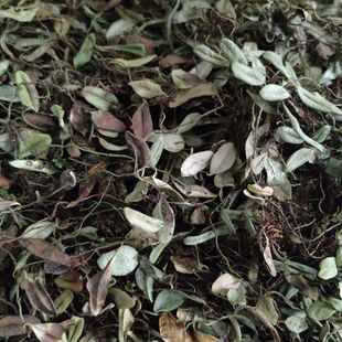 Ұ����Ʒ��ʯɏ ��ʯ�� ʯ���� ����ʯ�^�ϵ� ��Ʒ��ʯɏ