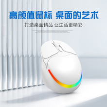 �¿�o��2.4G��ģ�o��������TYPE-C�ӿ�RGB�߲ʟ�Ч�Pӛ��ͨ��